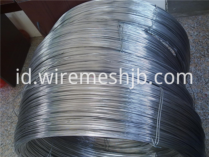 Stainless Steel Soft Wire